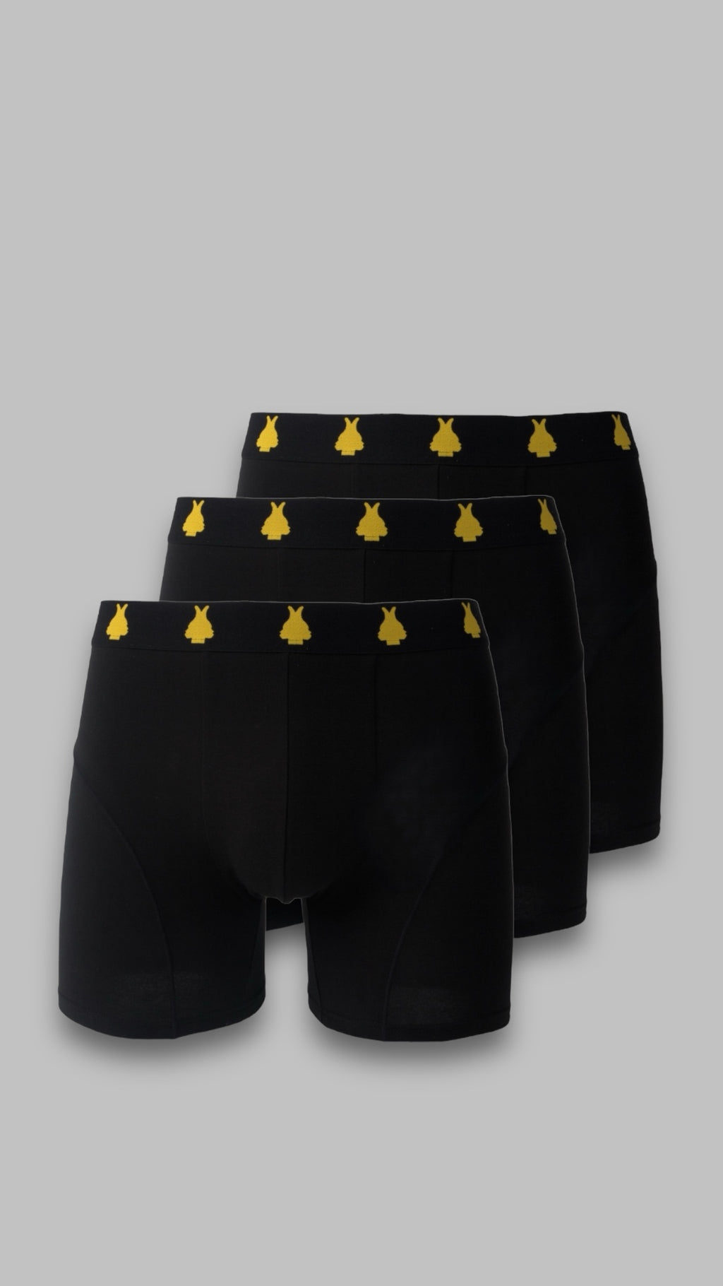 Underwear Classic Modal Stretch